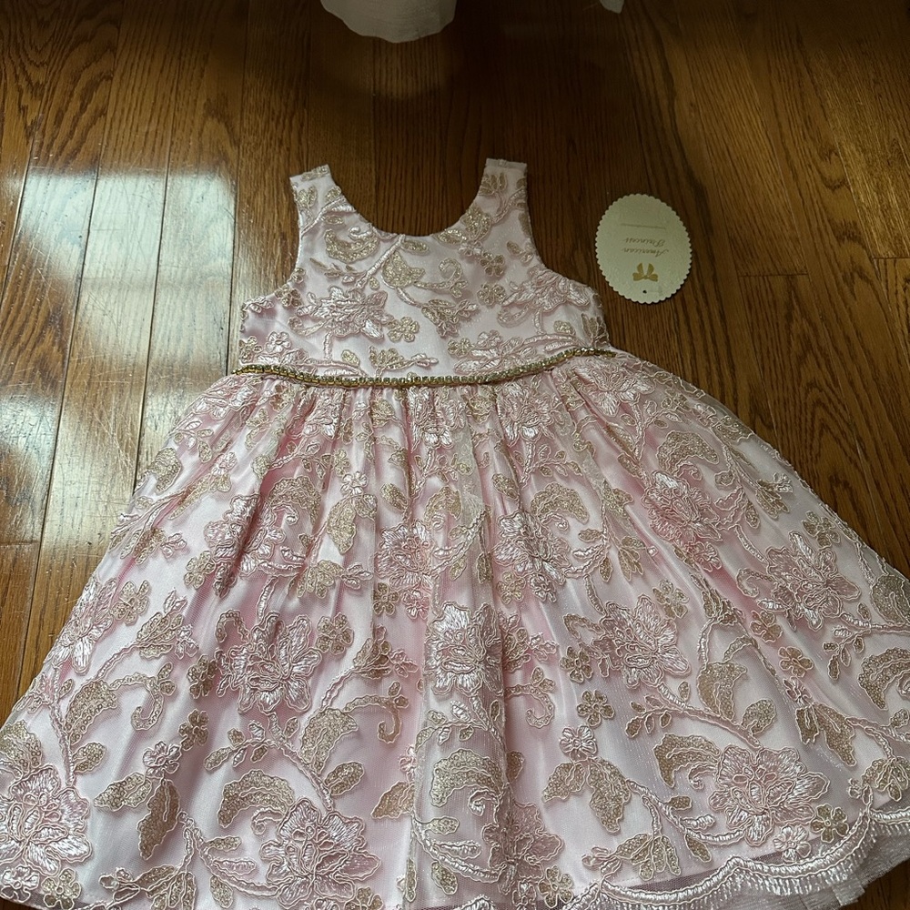 Elegant Pink and Gold Kids Dress